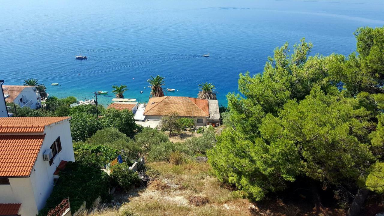 Apartman Juric